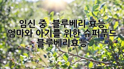 임신 중 🤰 블루베리 효능 🫐 엄마와 아기를 위한 슈퍼푸드! #블루베리효능