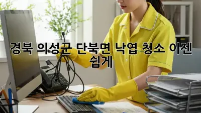 경북 의성군 단북면 낙엽 청소, 이젠 쉽게!