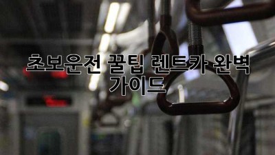 초보운전 꿀팁🍯 렌트카 완벽 가이드🚗