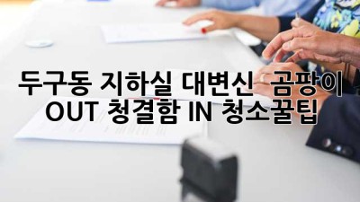 두구동 지하실 대변신! ✨ 곰팡이 OUT 청결함 IN #청소꿀팁