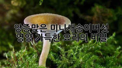 앙증맞은 미니새송이버섯, 영양 가득한 요리의 비밀